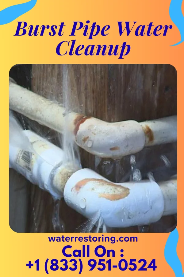 Burst Pipe Water Cleanup in Butte, ND